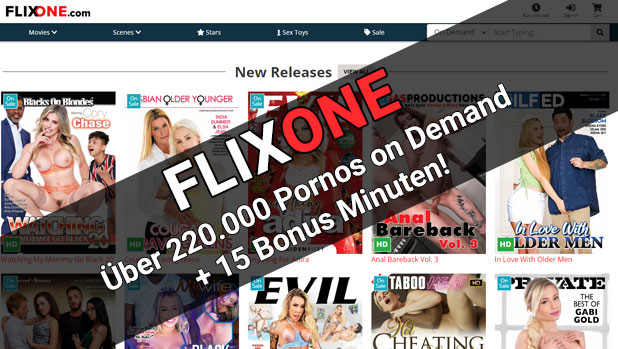 FLIXONE Online Videothek